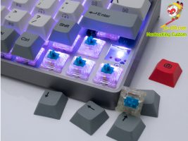 hot swappable switches